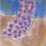 Grapes created with chalk pastels by youth artist Hannah, age 7